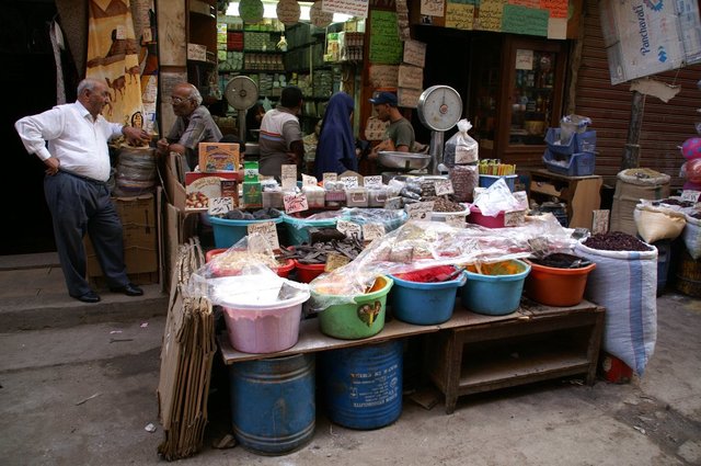 2007_egypttrip090